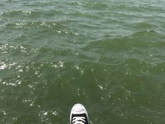 -济南国际园博园