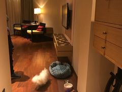 -上海崇明金茂凯悦酒店