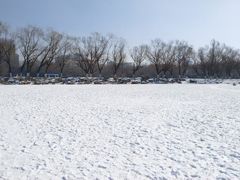 -青城公园