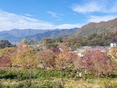 -塔川景区
