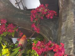 -草原塞蛮羊火锅城(港湾店)