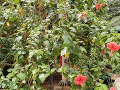 -龙达温泉生态城