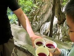 -北京上方山国家森林公园
