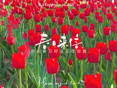 -朝阳公园