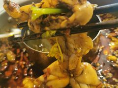 鲜活牛蛙-蛙两只美蛙鱼头火锅(恒茂店)