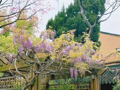 -龙华寺