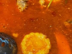 -老巷羊蝎子城(湘江世纪城店)
