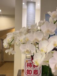 -美丽田园