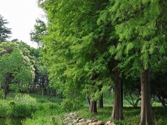 -长广溪湿地公园