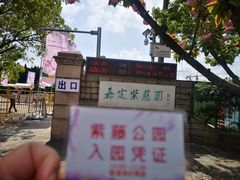 -嘉定紫藤园