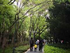 -嘉定紫藤园