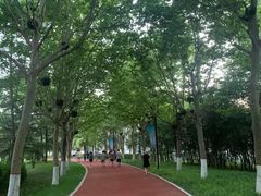 -城市运动公园(未央区)