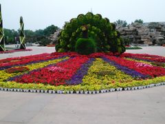 -石家庄市植物园