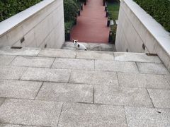 -苏州湾·王焰温泉