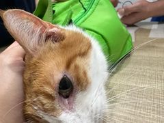 -荔康动物医院(康王北路店)