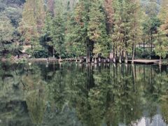 -重庆彩云湖湿地公园