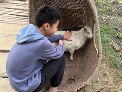 -小鱼草莓采摘园农家乐·小鱼餐厅