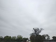 -苏州太湖国家湿地公园