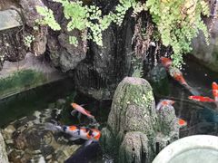 -丽江庭院之爱在路上(西单店)