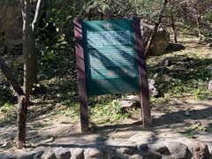 -北京凤凰岭