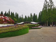 -东平国家森林公园