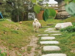 -龙华寺