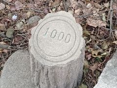 -北京西山国家森林公园