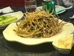 鳗鱼苗-星龙海鲜(望江东路店)