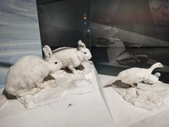 -长江文明馆