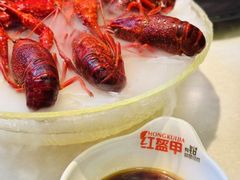 -红盔甲·小龙虾(人民广场店)