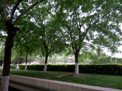 -北京国家会计学院