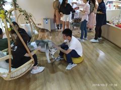 -Husky Go! 哈士奇体验馆·宠物咖啡厅狗咖