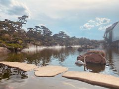 -罗红摄影艺术馆