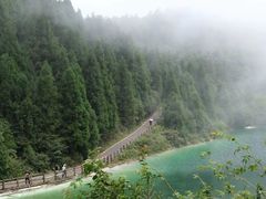 -武陵山森林公园