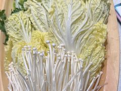 -红鼎豆捞·非遗鲍皇汤火锅(宝丰路店)