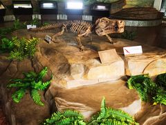 -自贡恐龙博物馆
