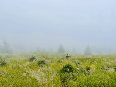 -灵山