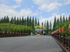 -黄海国家森林公园