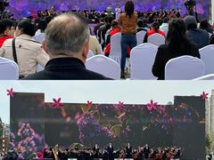 -群力丁香公园