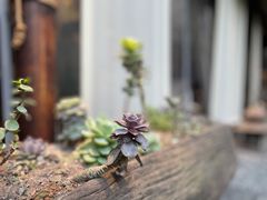 -都氏家DUSJOY(翡翠城店)