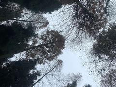 -海窝子古镇
