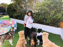 -汪说喵讲宠物乐园宠物酒店(红星美凯龙店)