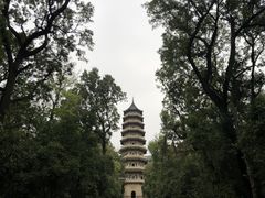-灵谷景区