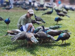 -西双版纳勐泐文化旅游区