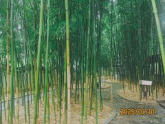 -柳侯公园