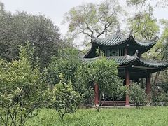 -柳侯公园