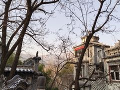 -老张烤羊(王哥庄店)