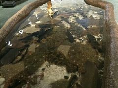 android_upload_pic-郑庄脂渣海鲜楼(九水路店)