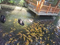 -南宫五洲植物乐园