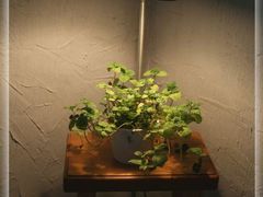 -Babycat私家御饼屋(龙头路一店)